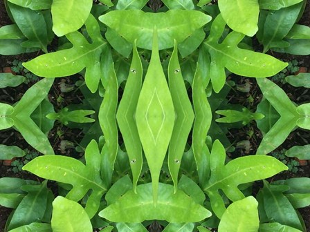 Natural Pattern 46 by Irena Orlov art print