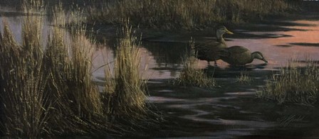 Black Ducks at Dusk by Wilhelm J. Goebel art print