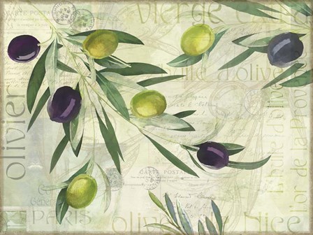 Olives de Nice by Cora Niele art print