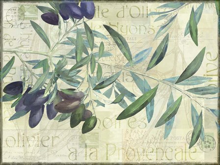 Olives de Nyons by Cora Niele art print