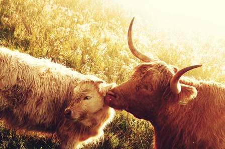 Fenella with Her Daughter by Jenny Rainbow Fine Art art print